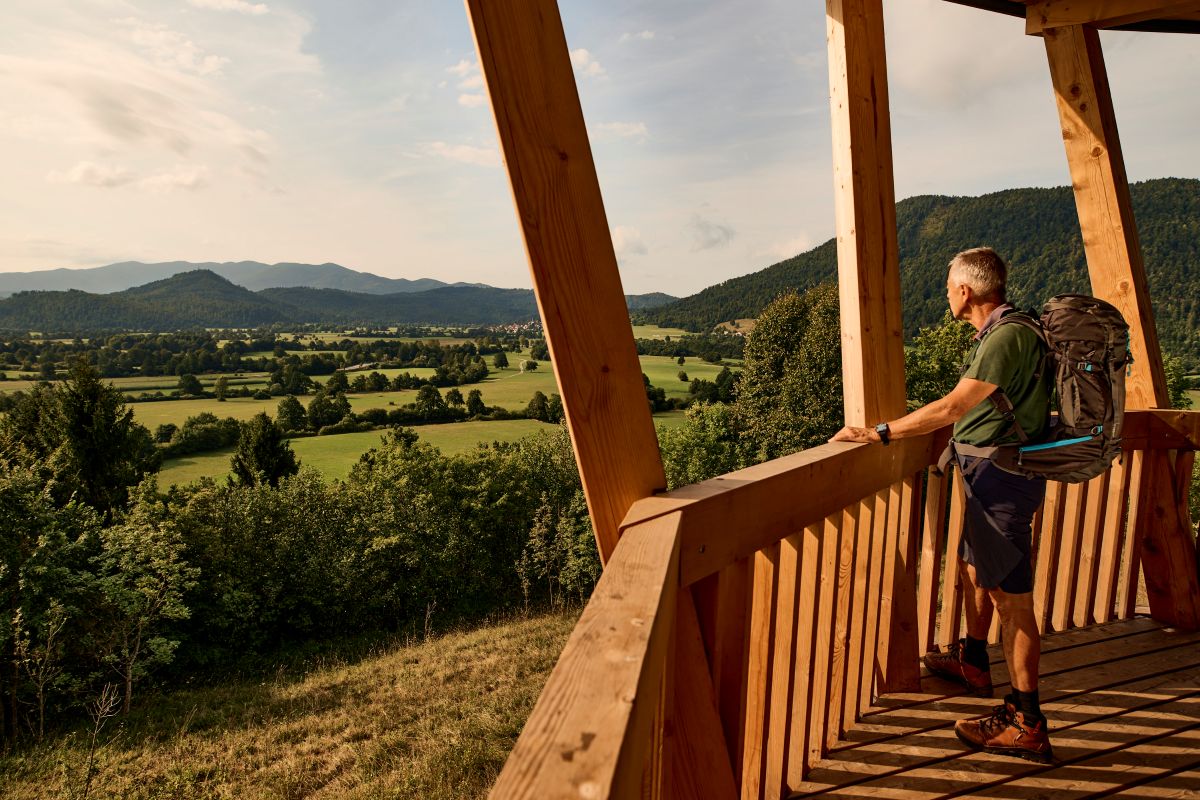 An elderly man is enjoying the view from a wooden observation tower. In the background, there are fields with scattered trees and forested hills.