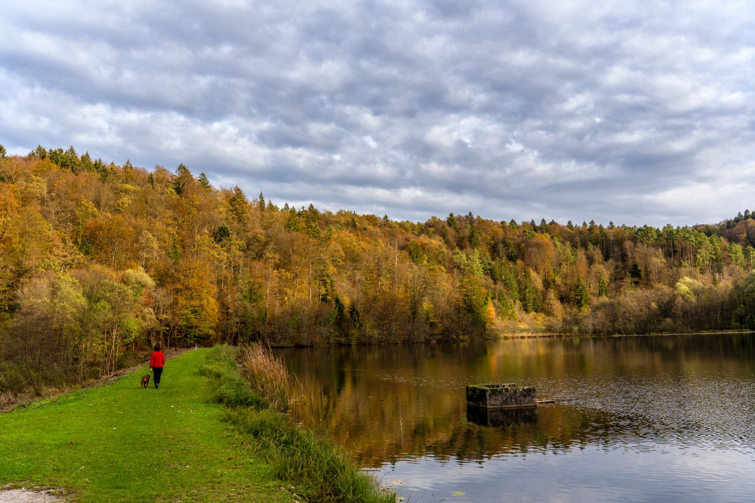 A body of water surrounded by forest and grassy areas. A woman walking her dog is strolling by the lake.