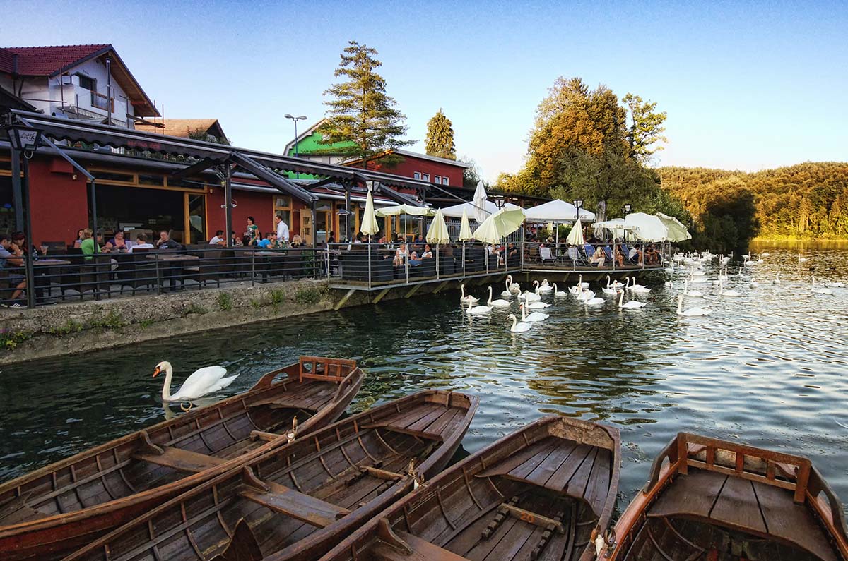 obiskovalci na terasi ob jezeru, po katerem plavajo labodi. V ospredju so leseni čolni.