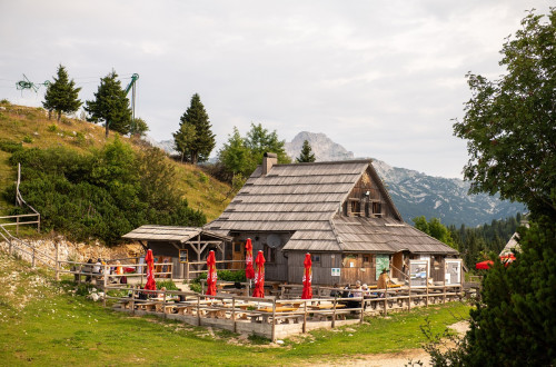 Velika lesena koca sredi narave.