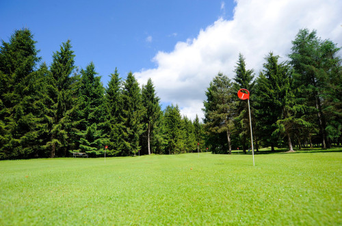 Igrišče za golf z označbami med drevesi. 