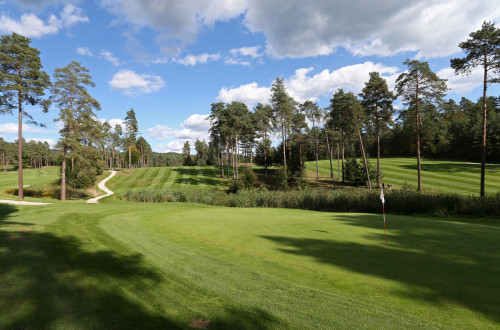 Golf igrišče med drevesi. 