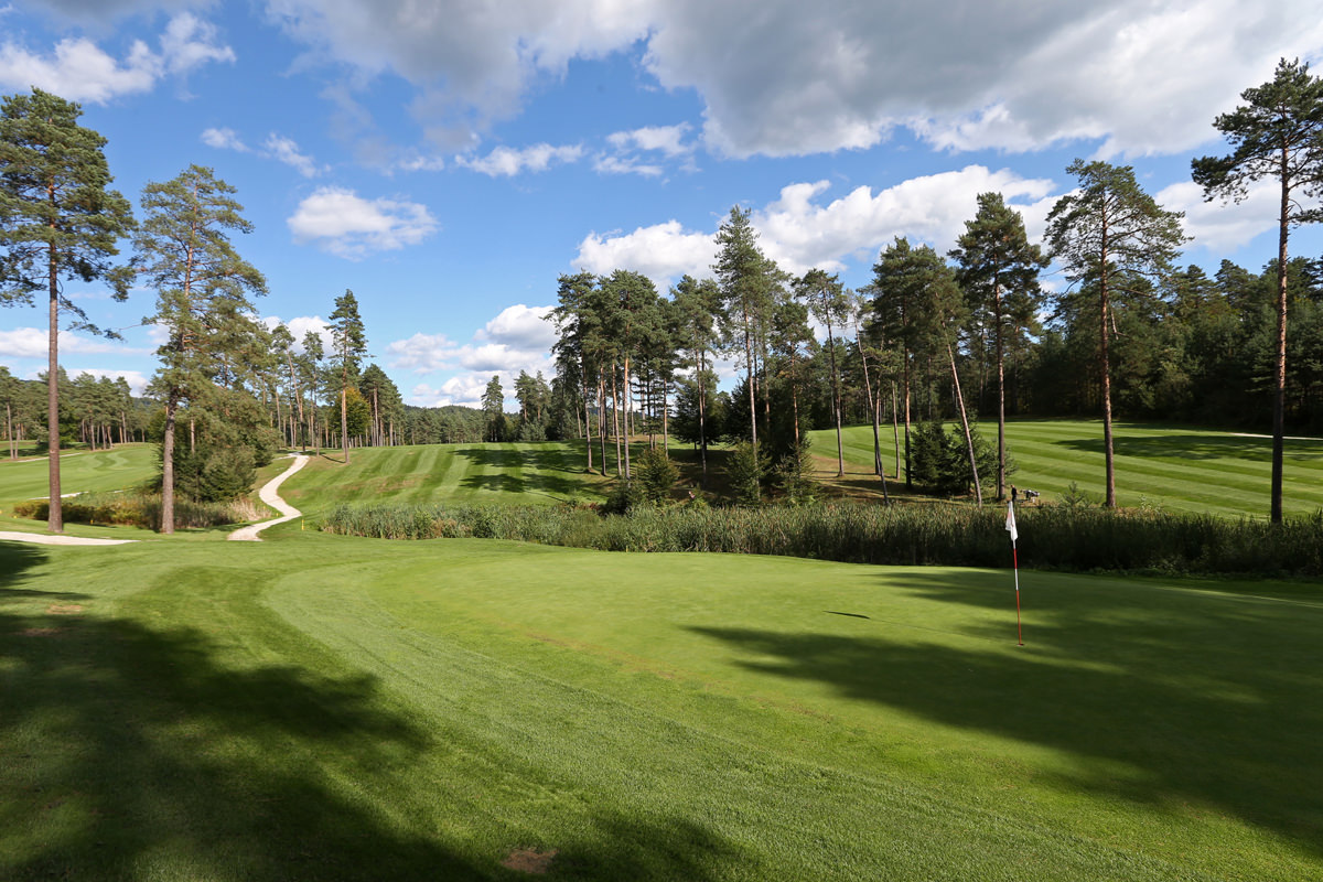 Golf igrišče med drevesi. 