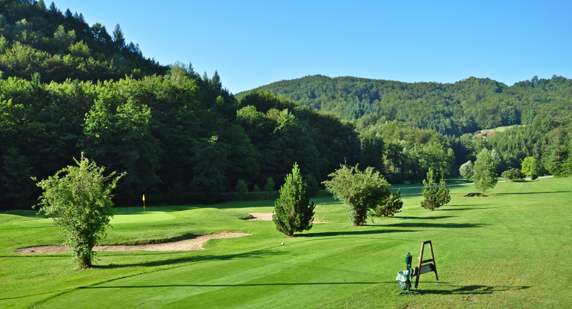 Golf igrišče med drevesi. 