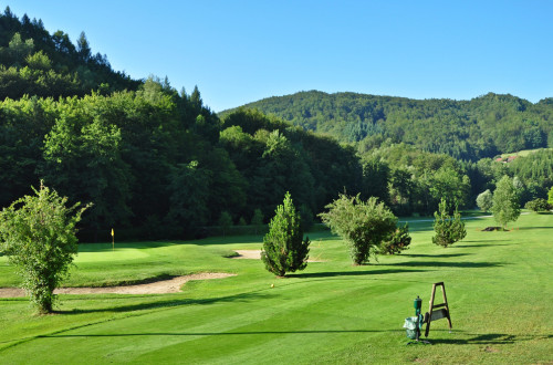 Golf igrišče med drevesi. 