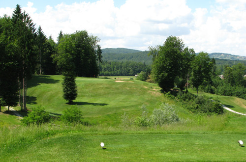 Golf igrišče med drevesi. 