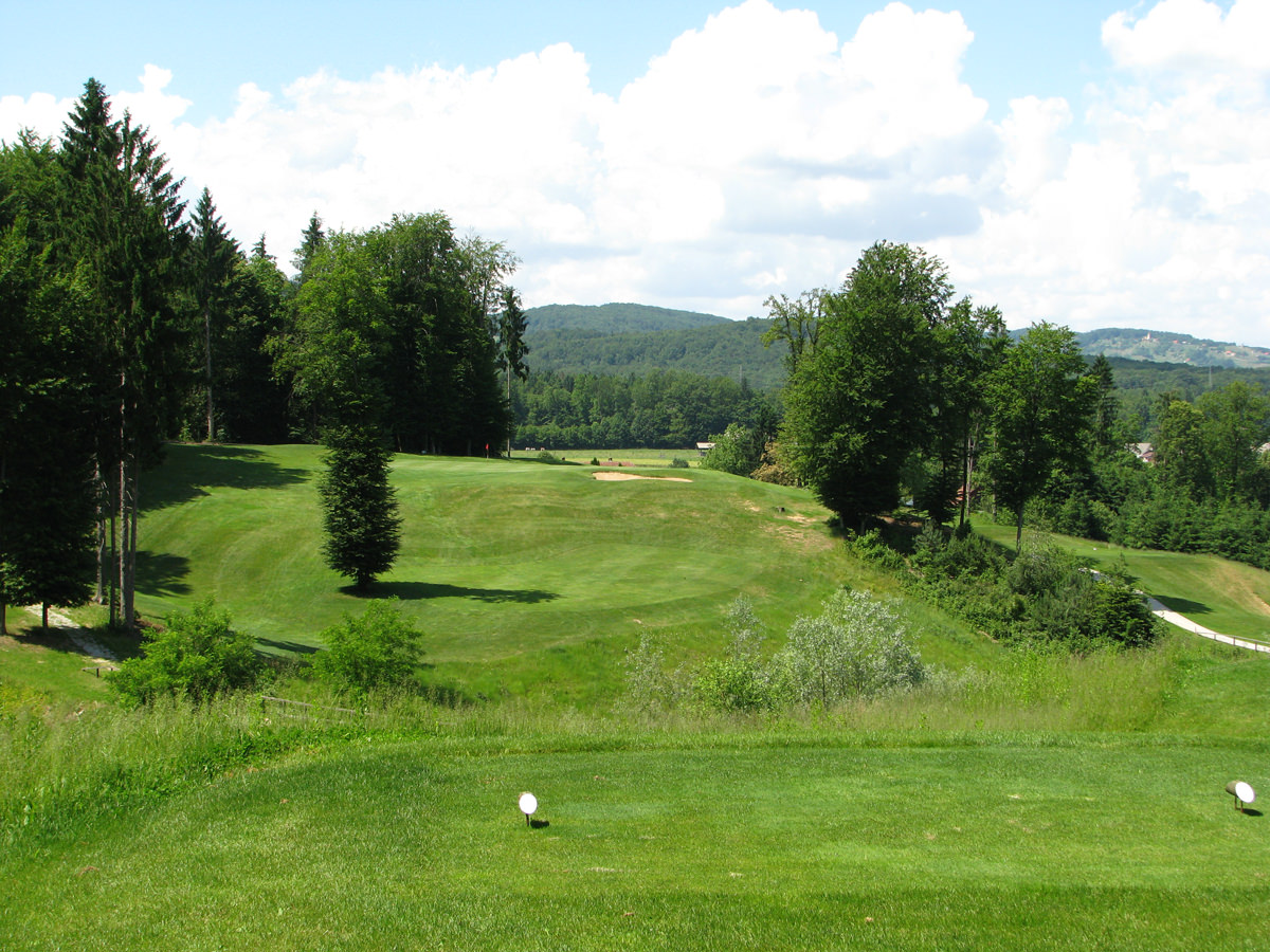 Golf igrišče med drevesi. 