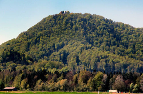 Z gozdom poraščena Šmarna gora.