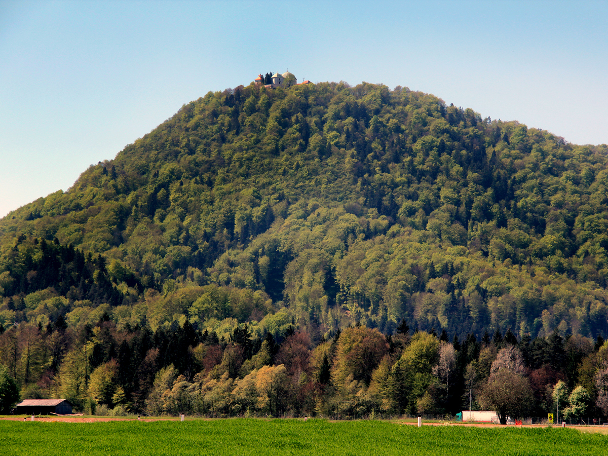 Z gozdom poraščena Šmarna gora.