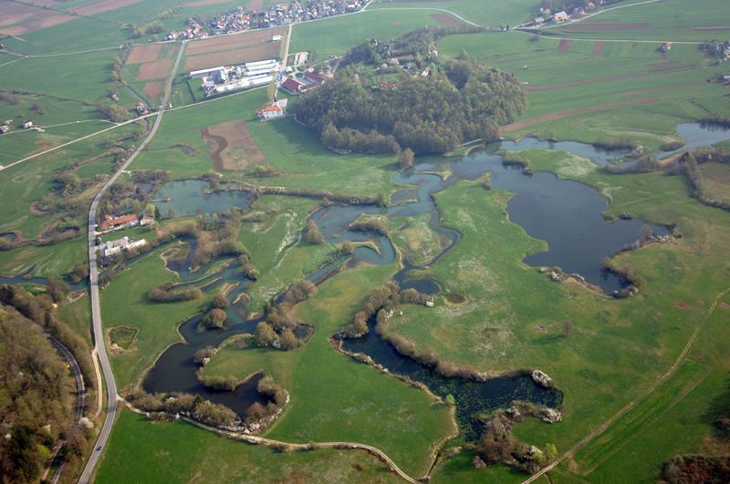 Polje Alchetron, The Free Social Encyclopedia