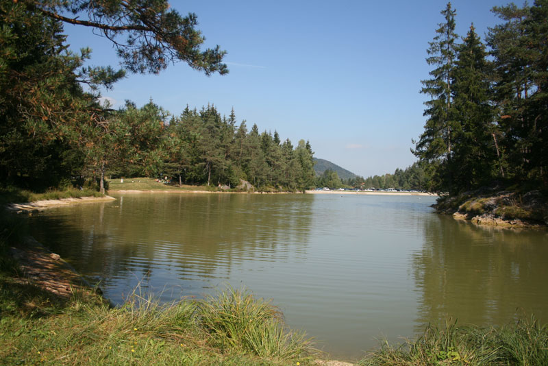 Jezero na Rakitni, obdano z drevesi.
