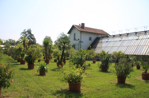 rastlinjak-tivoli-1.jpg