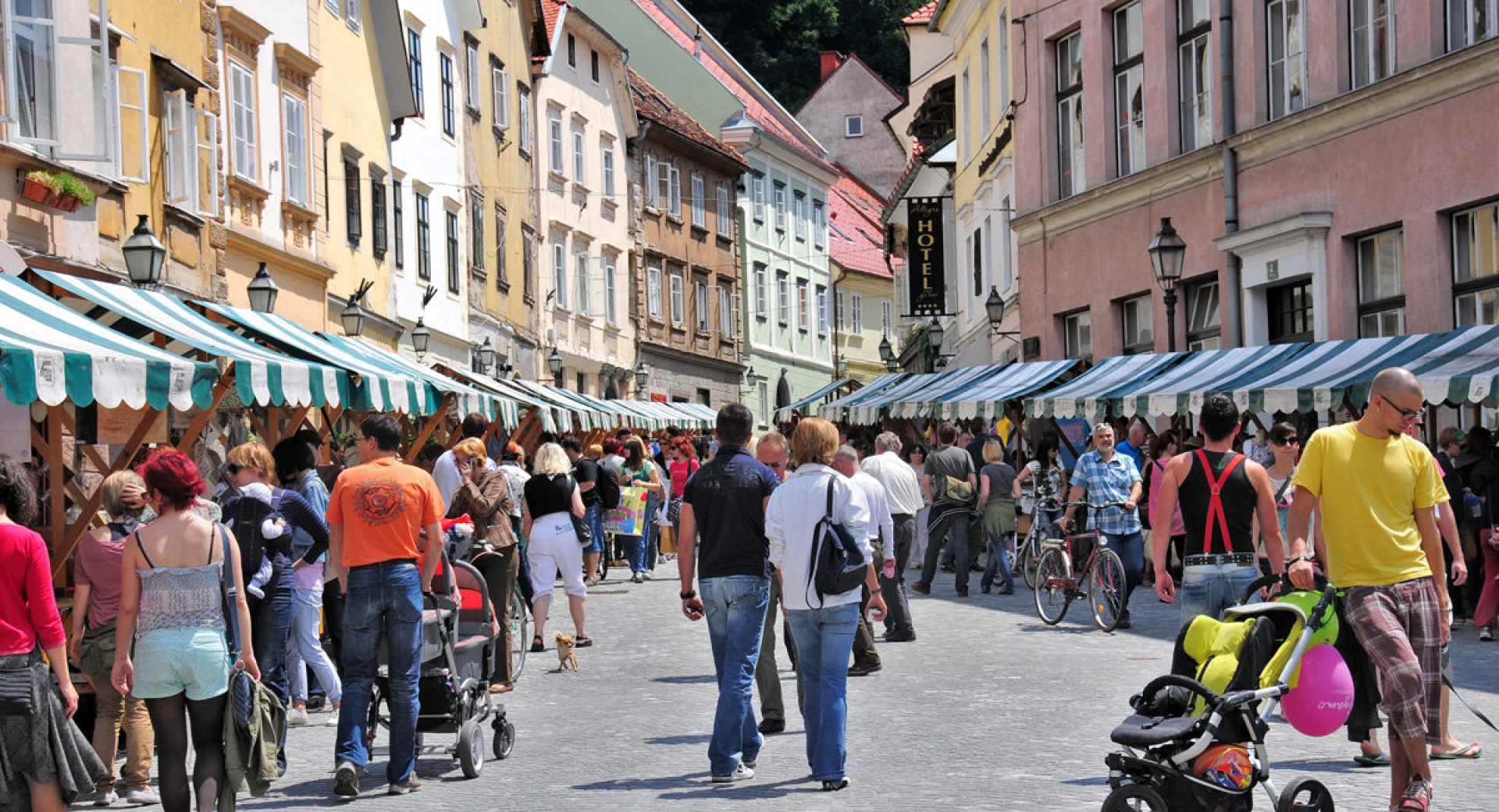 shopping-1-wedam.jpg