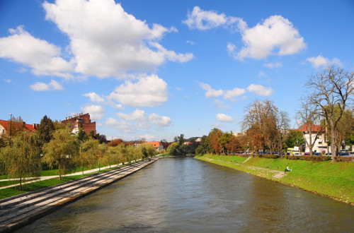 Ljubljanica; na levem bregu se nahajajo kamnite stopnice in drevesa, na desnem pa travnik z drevesi.