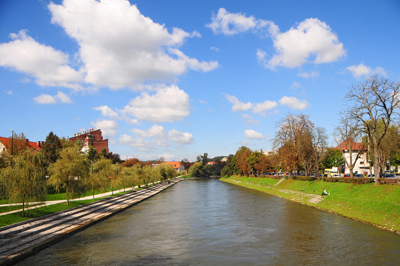 Ljubljanica; na obeh bregovih drevesa.