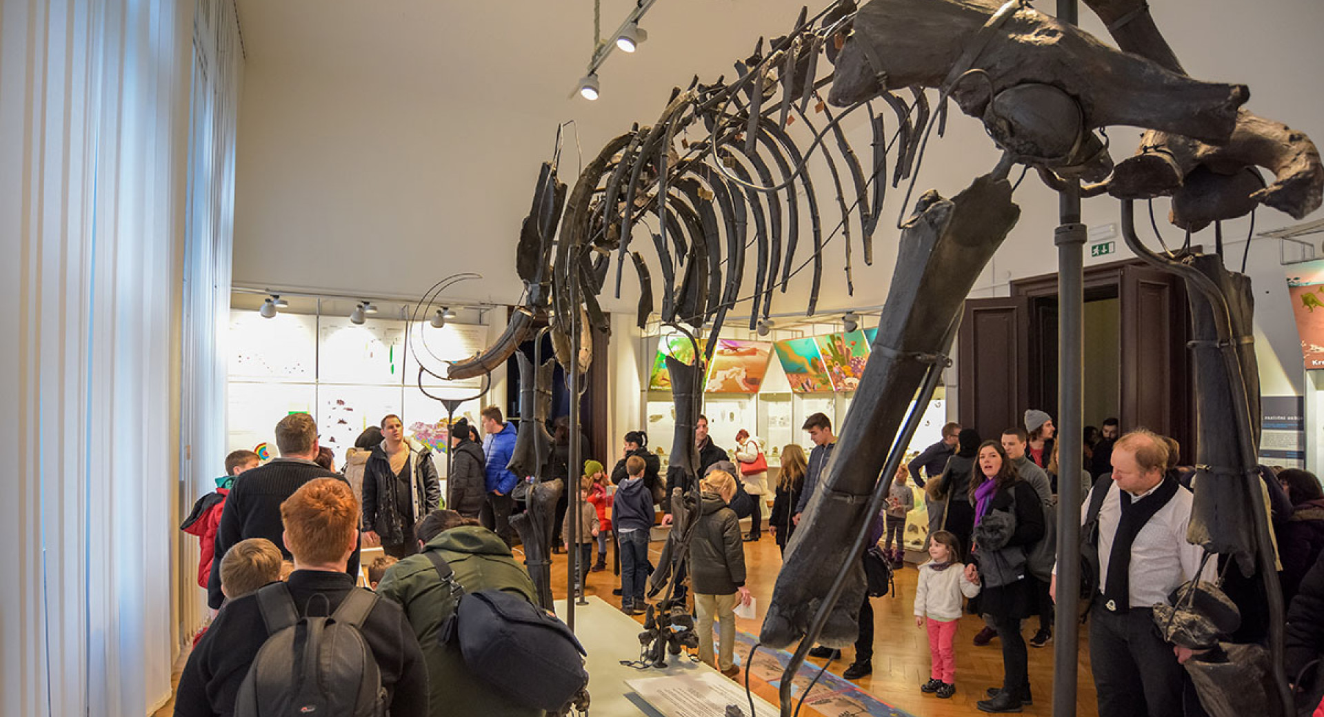 Okostje mamuta v prirodoslovnem muzeju, v ozadju številni obiskovalci.