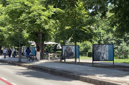 On Krakovo Embankment in Ljubljana, people stroll among open-air exhibition panels beneath lush green trees.
