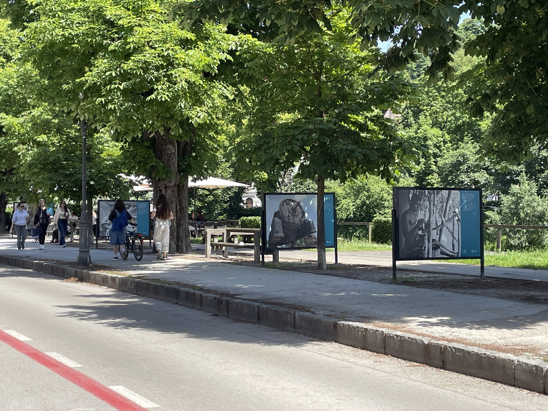 Na Krakovskem nasipu v Ljubljani se ljudje sprehajajo med razstavnimi panoji na prostem, pod zelenimi, bujnimi drevesi.