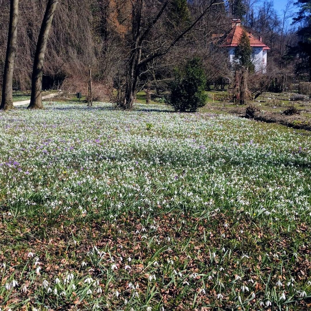 The secret of Ljubljana Botanic Garden » Visit Ljubljana