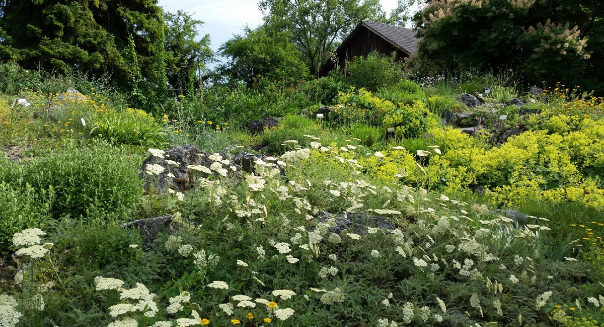 botanical garden cover