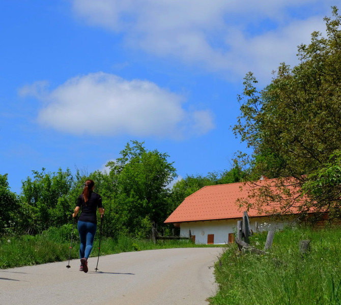 starigrad 7