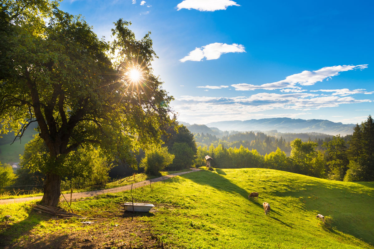 Skofja Loka Polhov gradec