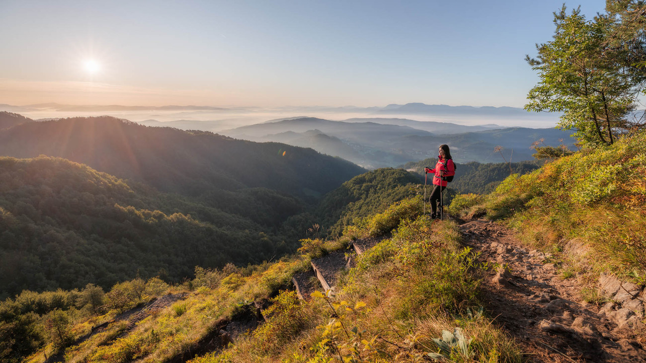 hiking trails banner1