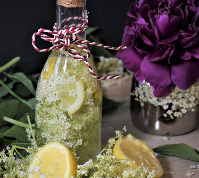 A bottle with syrup and elderflower. Flowers all around.