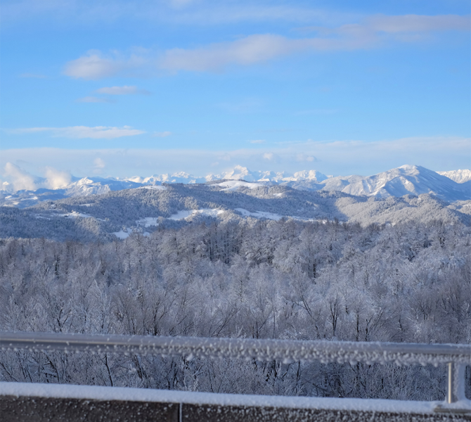 Planina nad Vrhniko web