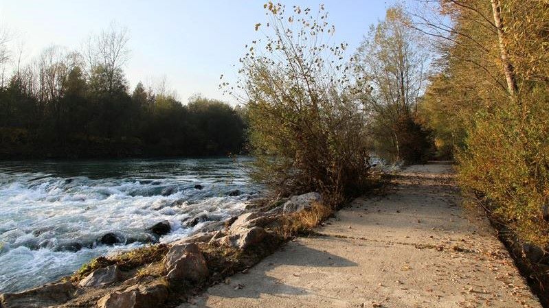 Sava II