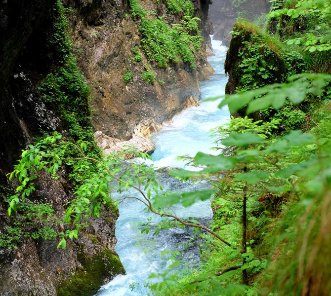 predaselj gorge