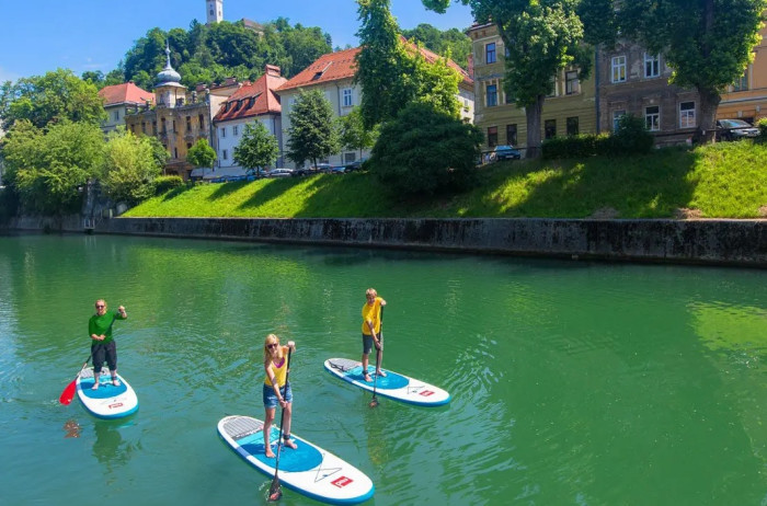 Three people paddling on a SUPs on a river.