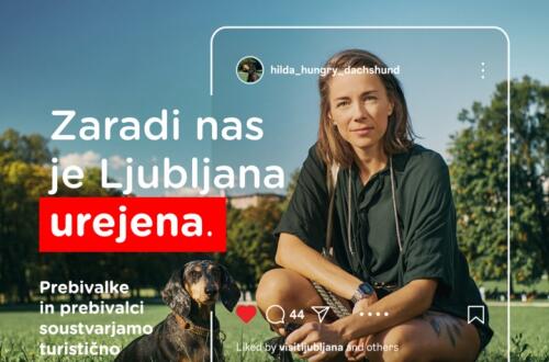 Zenska kleci na travniku zraven psa.