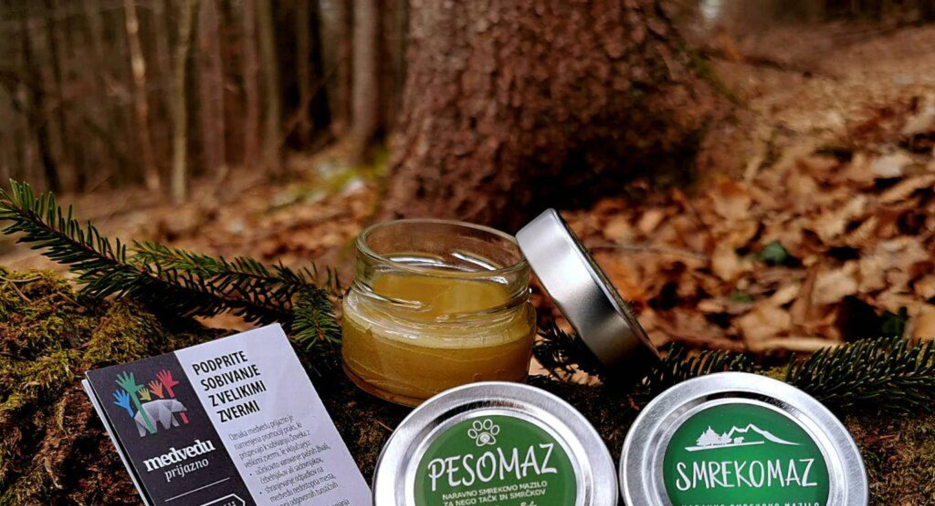 Naravni izdelki v malih posodicah, postavljeni na deblu v gozdu.