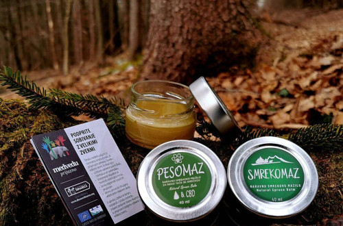 Naravni izdelki v malih posodicah, postavljeni na deblu v gozdu.