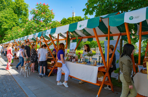 Wooden fair stalls with green-and-white roofs on a tree-lined street.