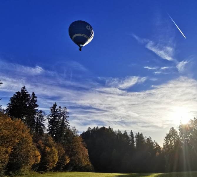 Una mongolfiera blu in aria, con alberi sotto e un cielo blu sullo sfondo.