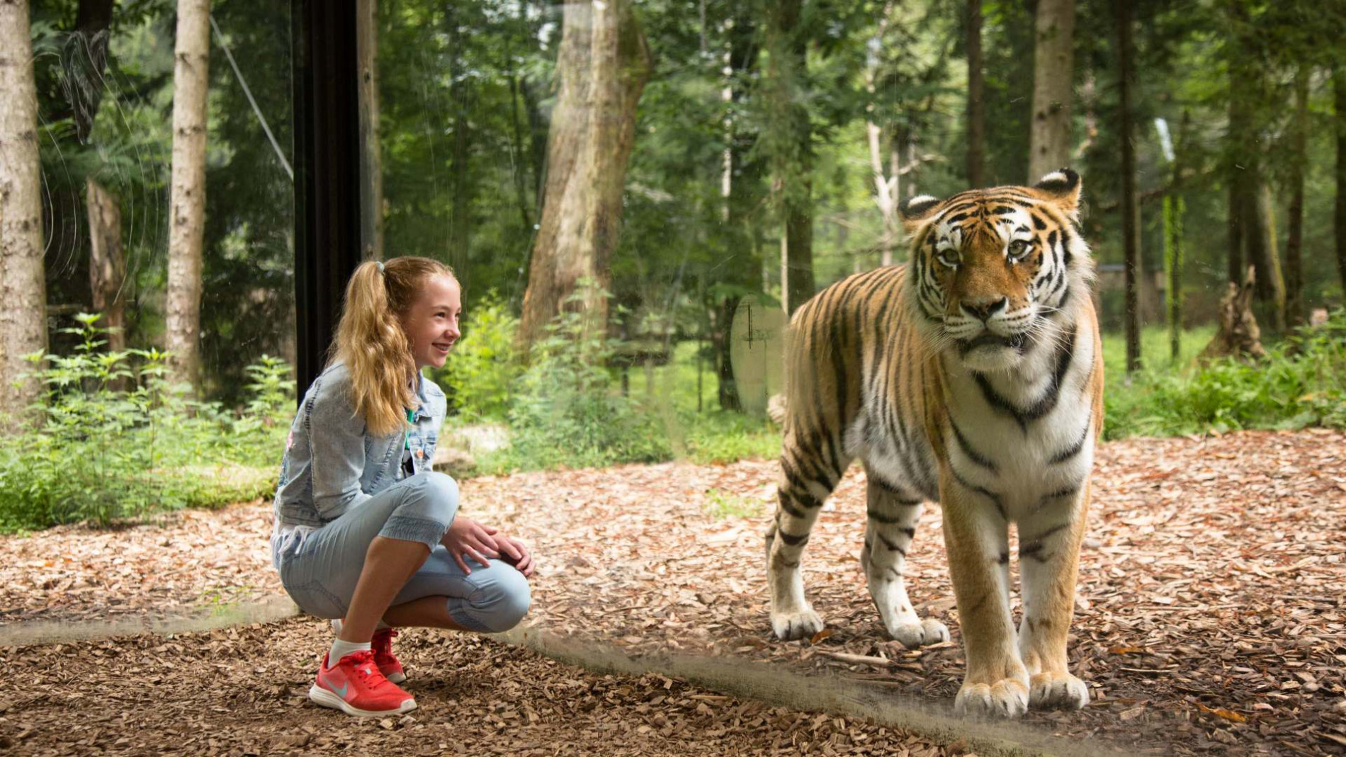 a girl is kneeling next to a tiger, forest behind
