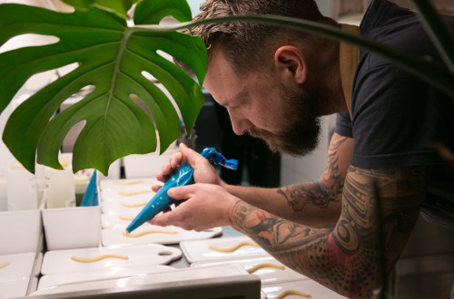 Bine Volcic Monstera