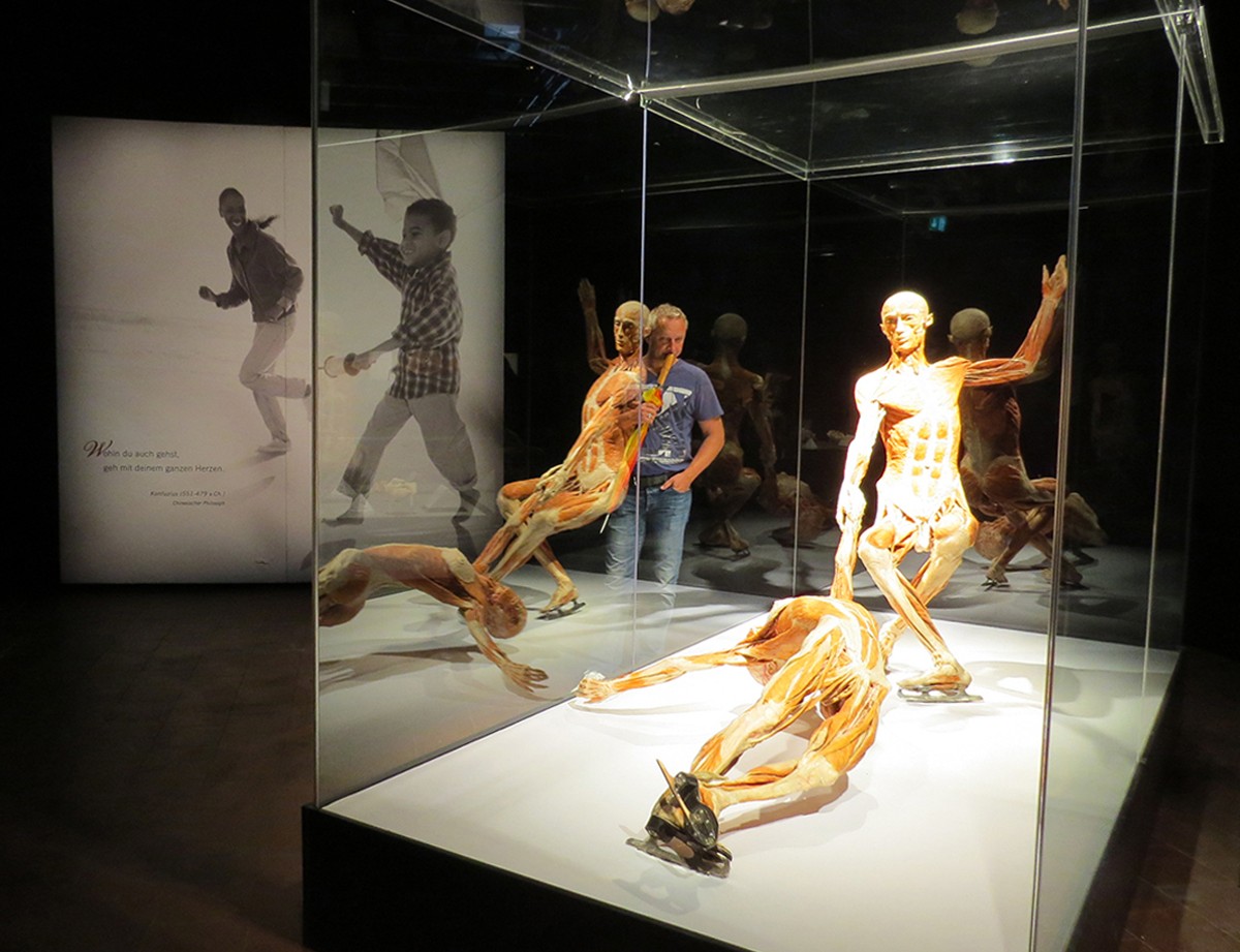 Body Worlds Vital » Visit Ljubljana