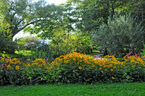 Botanicni vrt D. Wedam