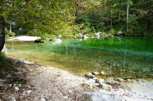 Cycling to the source of the river Kamniska Bistrica3