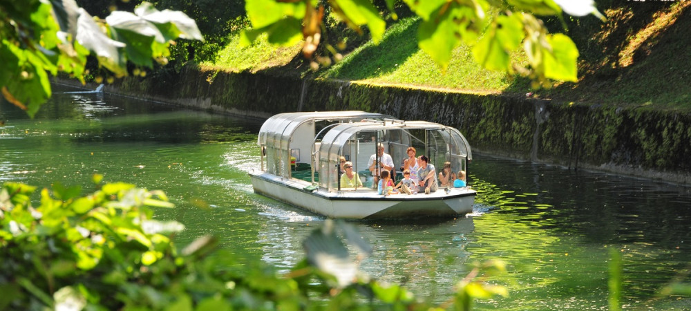 Turistična ladjica s turisti na Ljubljanici. V ospredju listi dreves.