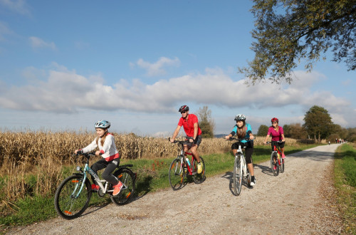 A family is cycling along a well-maintained path in the middle of nature.