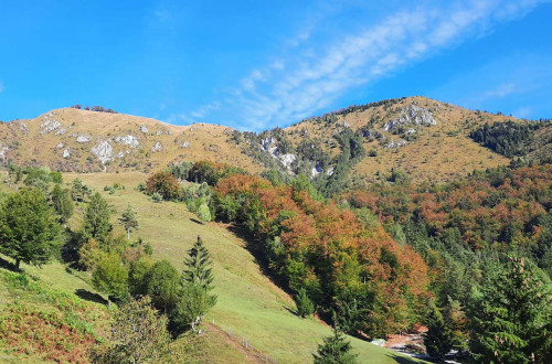 Pogled na pobočje Kamniškega vrha.