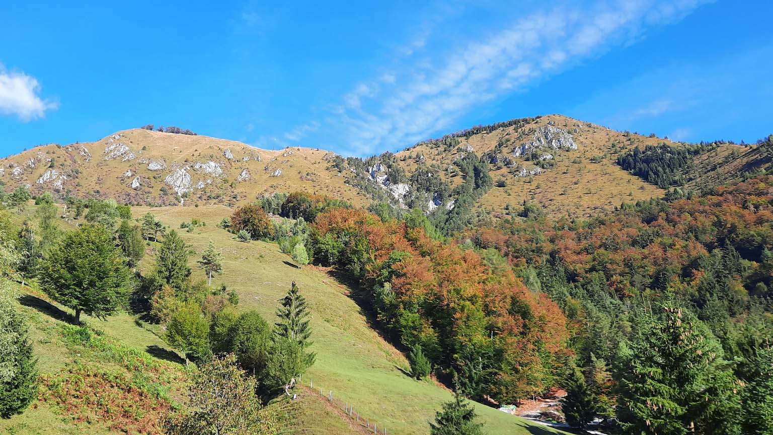 Pogled na pobočje Kamniškega vrha.