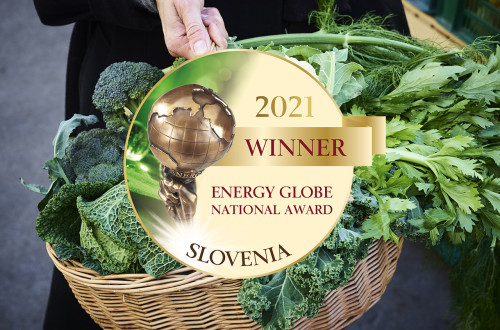 Ljubljana Energy Globe Award Matevz Kostanjsek