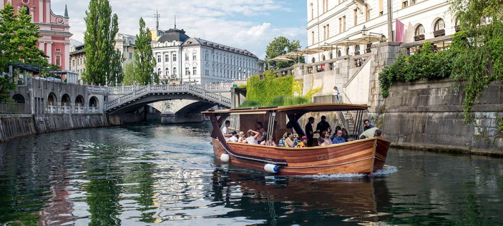 Ljubljanica borina misica