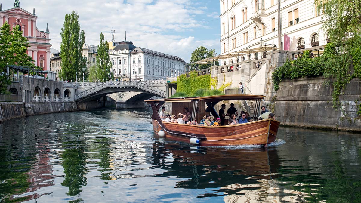 Ljubljanica borina misica