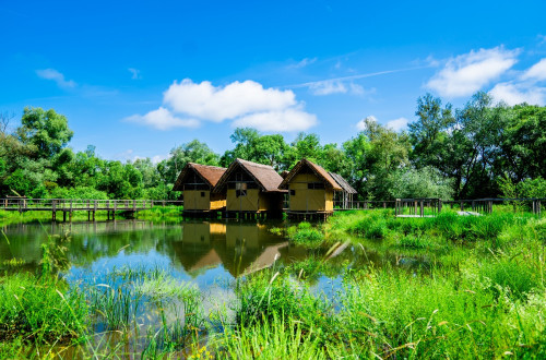 Three houses on piles surrounded by water.